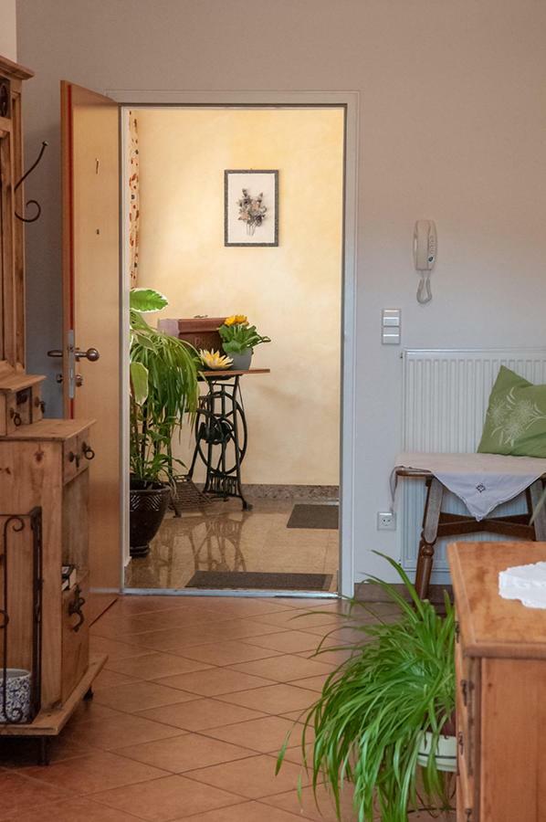 Pension Hiesel-Villa Untersbergblick Anthering Екстериор снимка