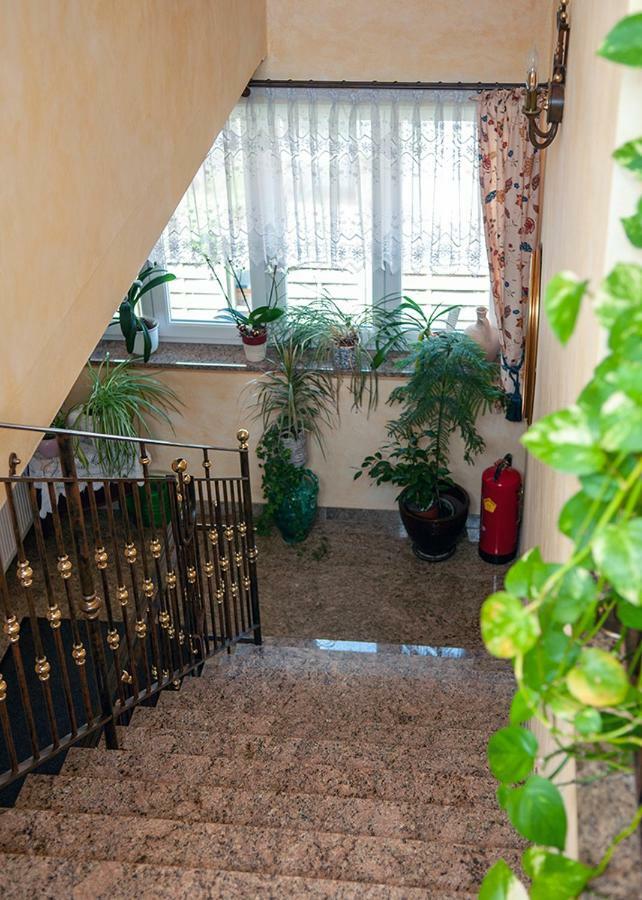 Pension Hiesel-Villa Untersbergblick Anthering Екстериор снимка